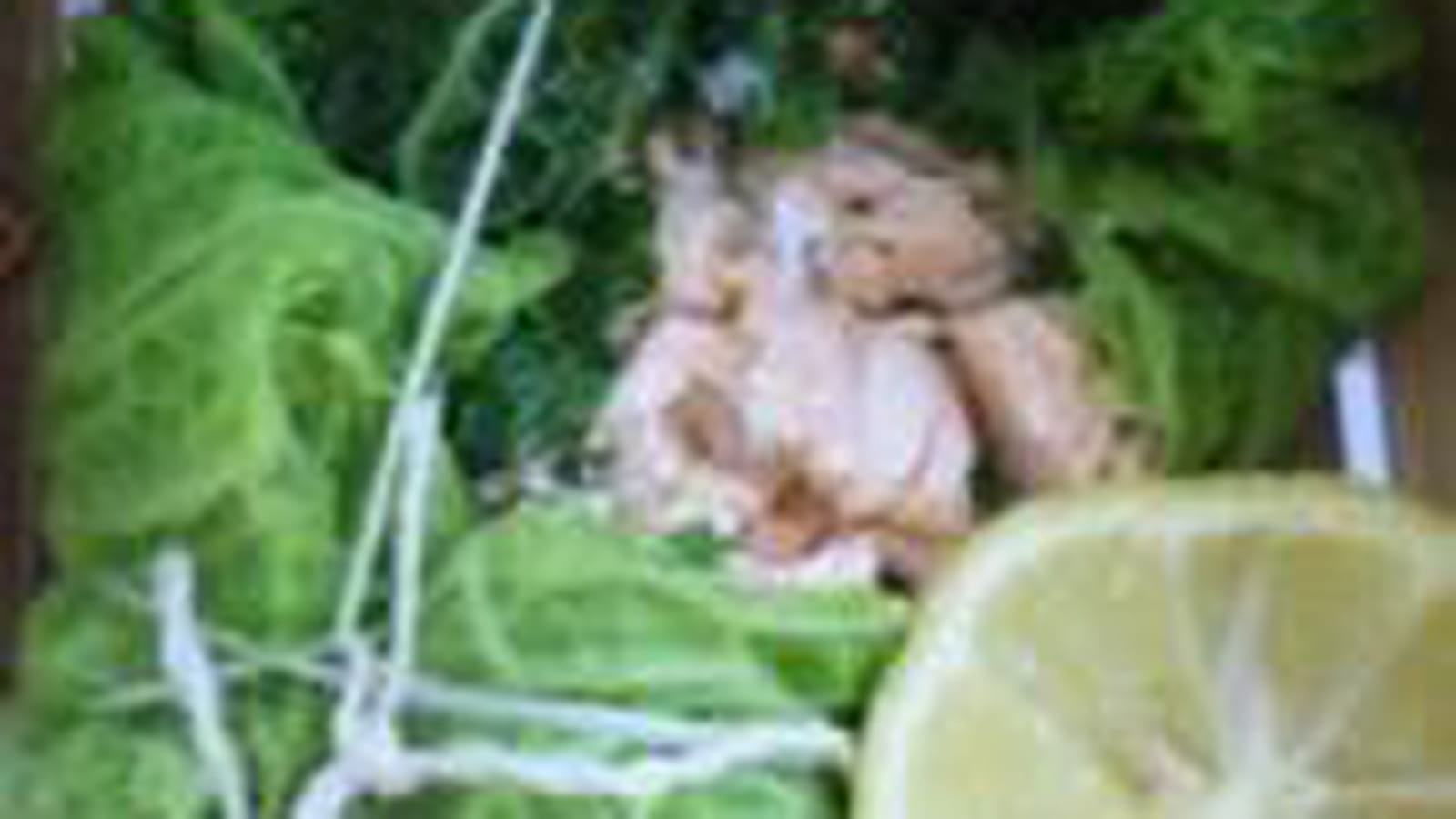 Chou au saumon vapeur