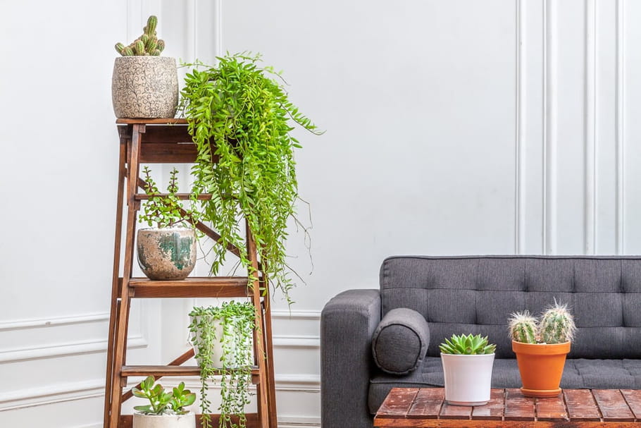 Paris Pousse garde vos plantes pendant les vacances