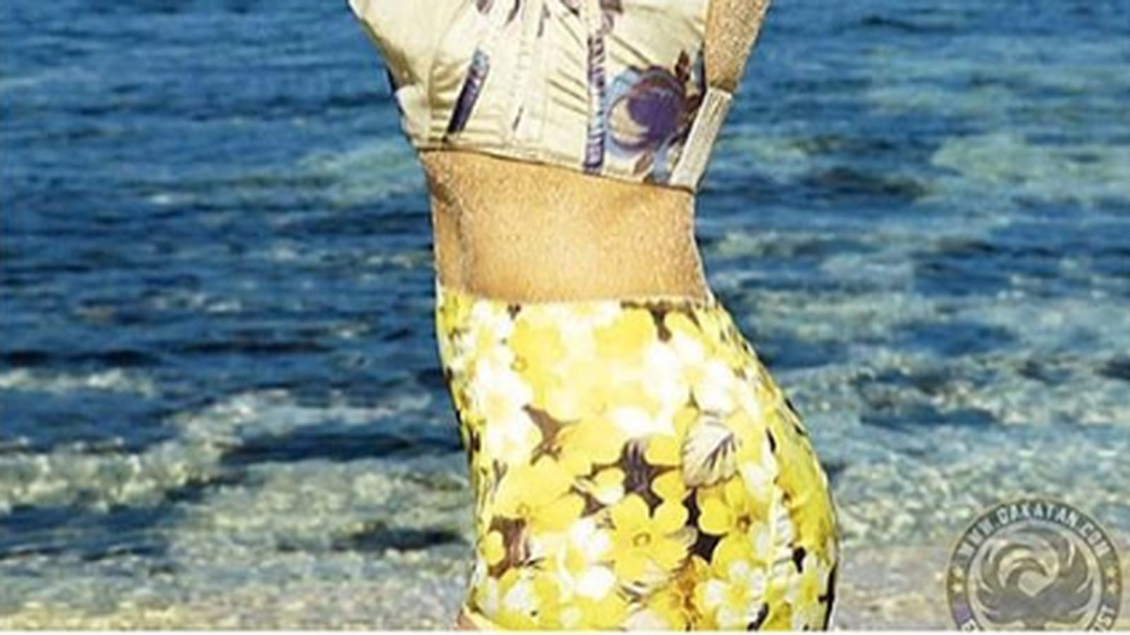 Emmanuelle Béart