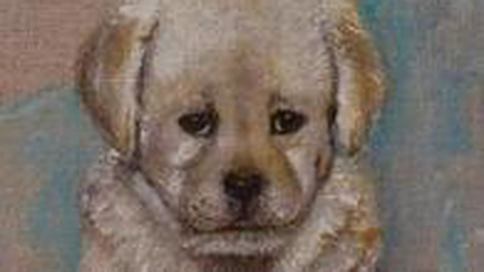 Chiot