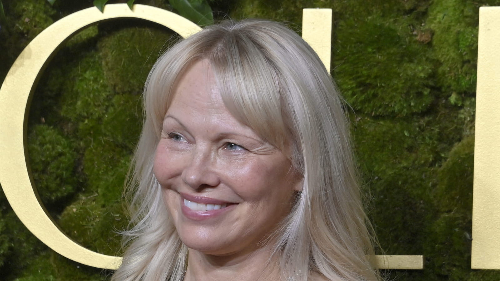  Pamela Anderson