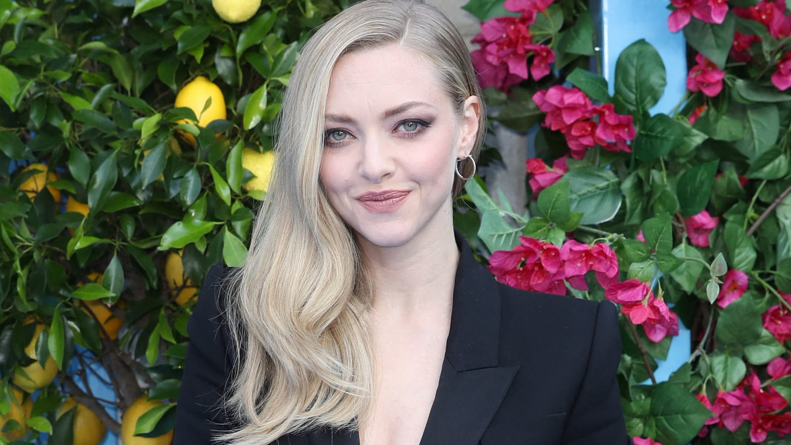 Amanda Seyfried