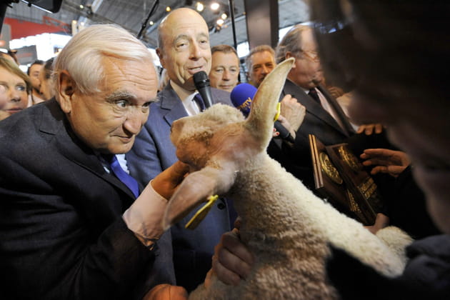 Jean-Pierre Raffarin, doux comme un agneau