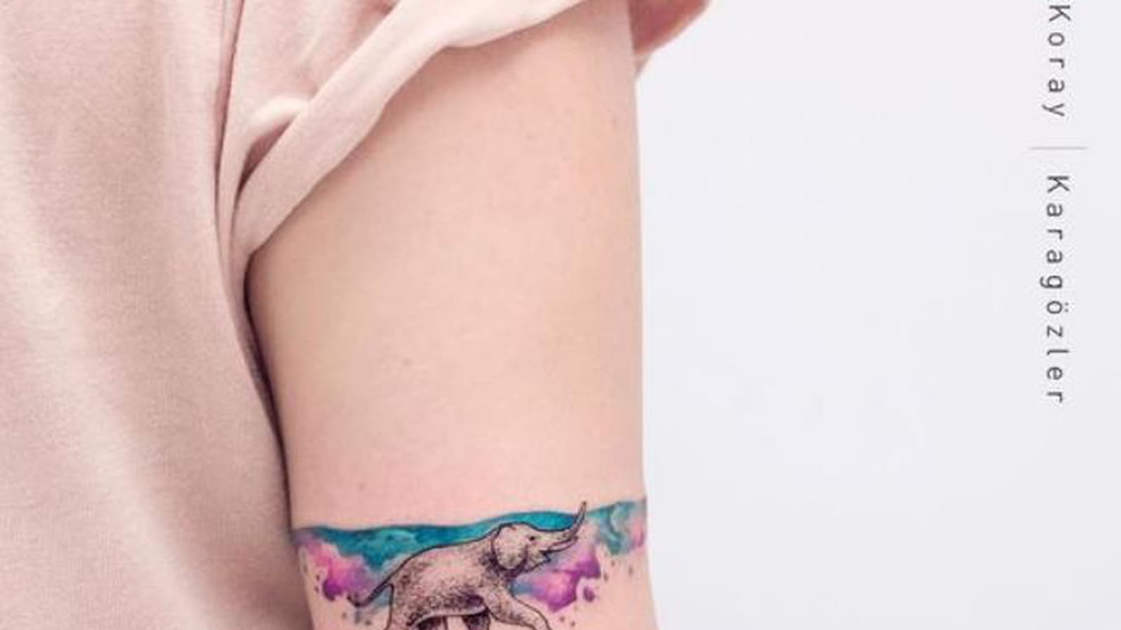 Éléphant nageur autour du bras