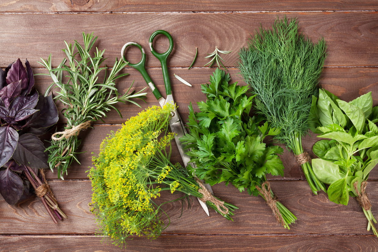 Les fines herbes