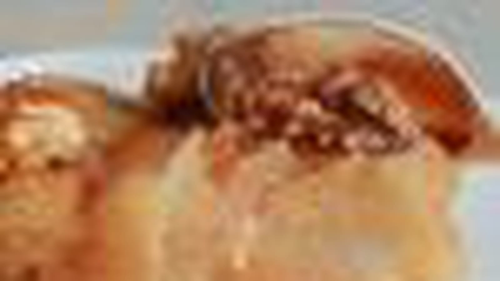 Tatin pomme-coing