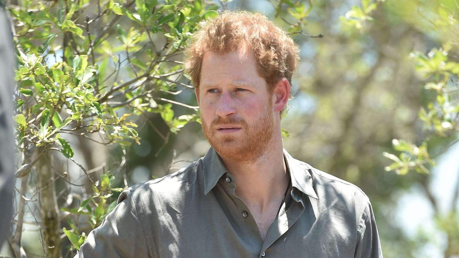 Prince Harry