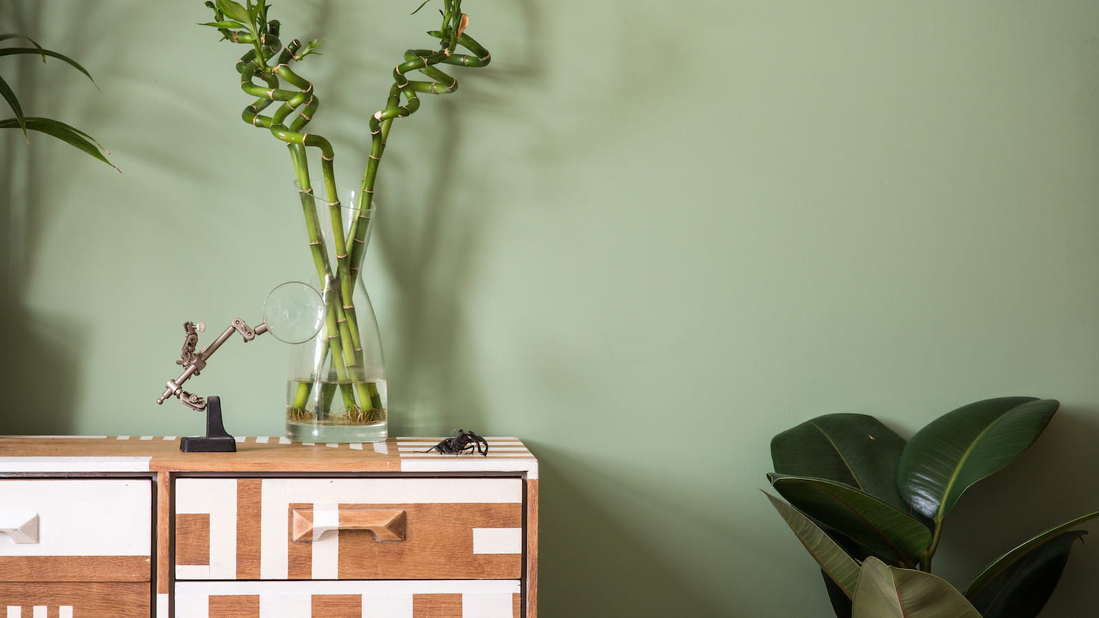 Peinture vert amande