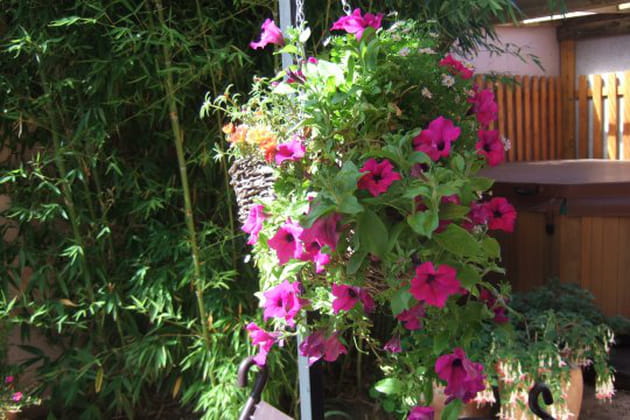 Des suspensions pour agrémenter les terrasses