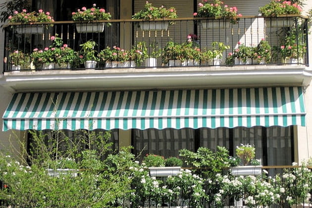 G&eacute;raniums &agrave; tous les &eacute;tages