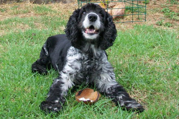 Rom&eacute;o et sa ma&icirc;tresse