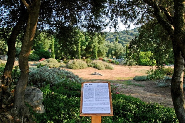 Les Chemins du Maquis