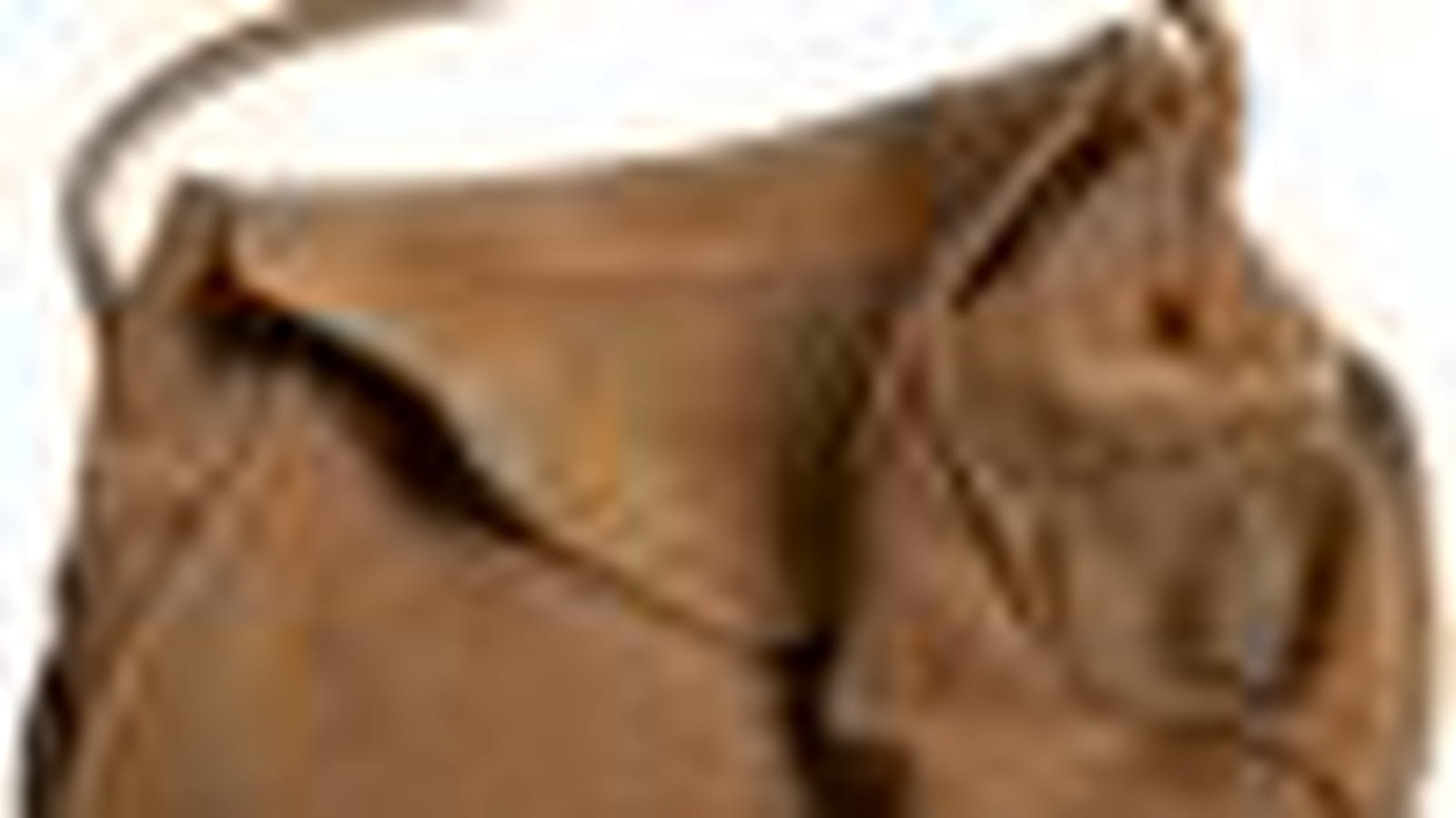 Le sac