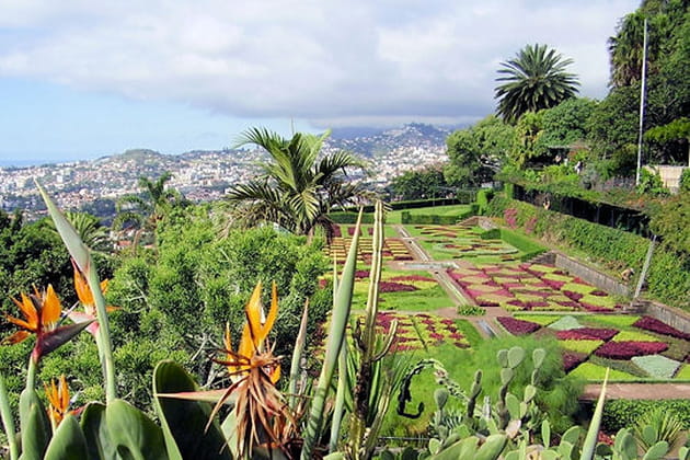 Sur l'île de Madère