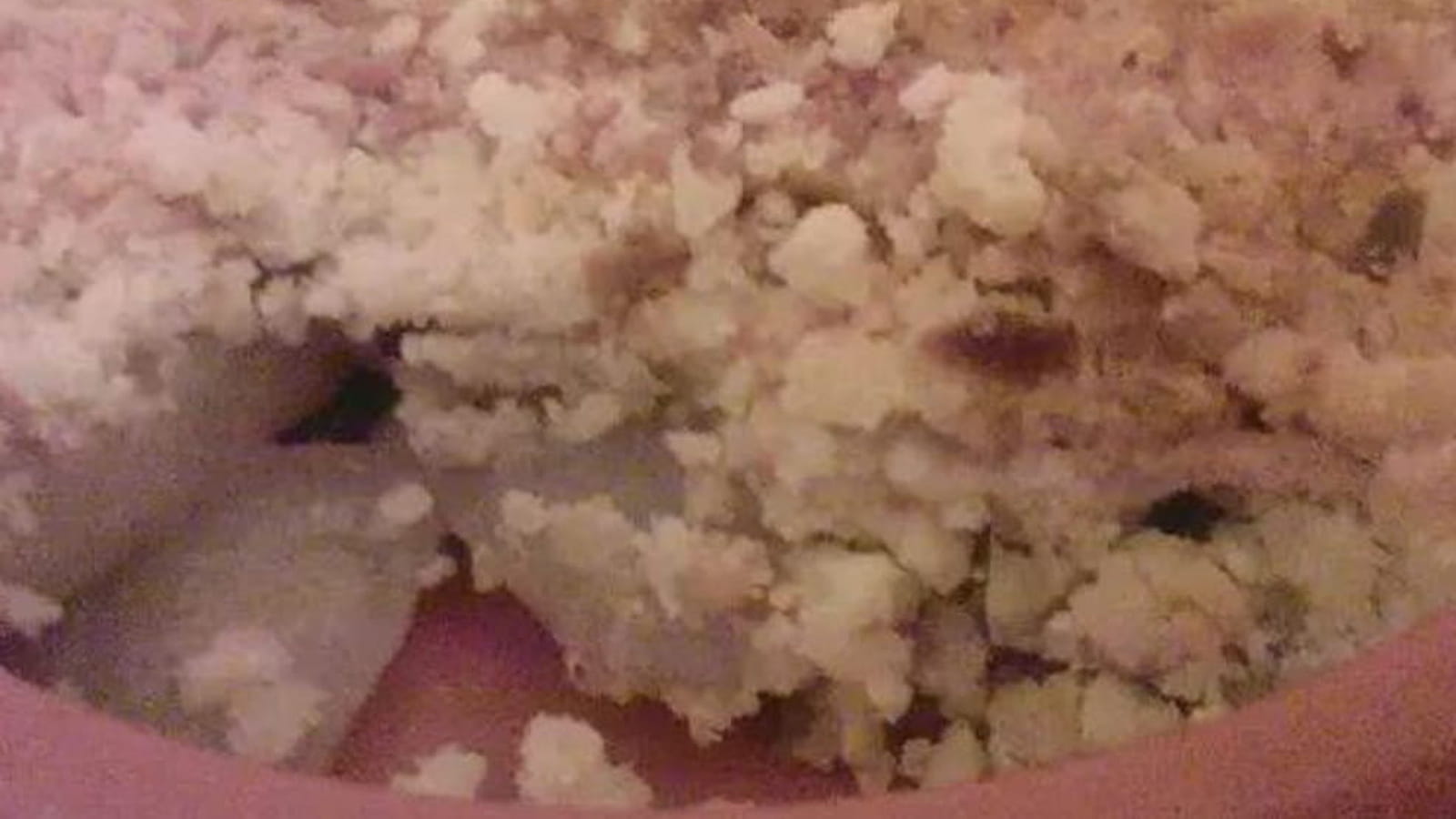 Crumble de nashi