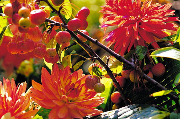 Des teintes pour tous les go&ucirc;ts