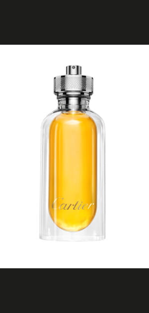 L'Envol de Cartier