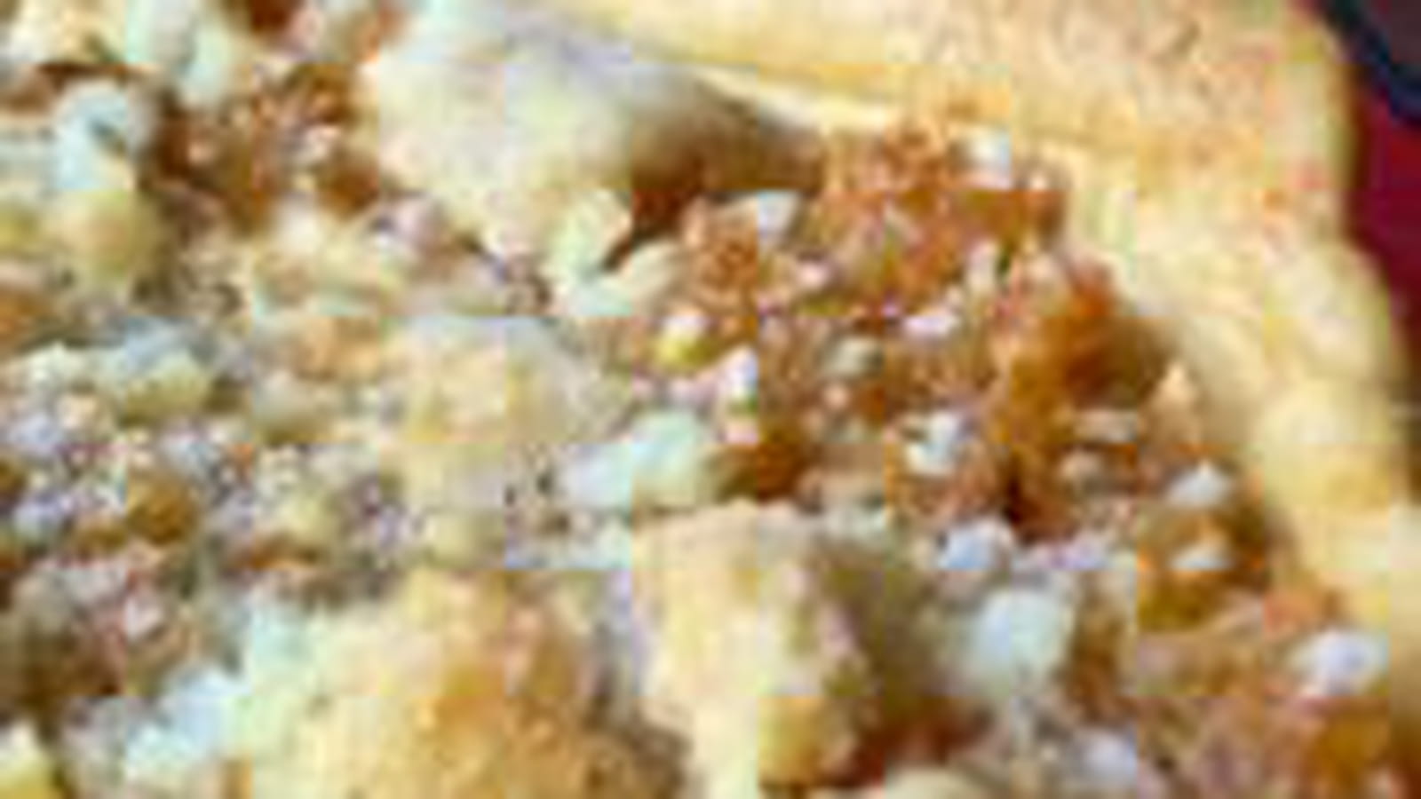 Tarte douce et fondante aux navets