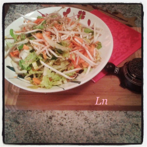 Salade de chou chinois, carottes et germes de soja
