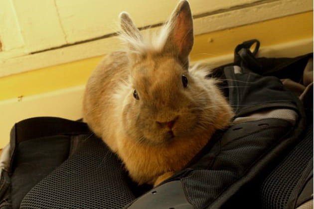 Un sac à dos grand confort pour monsieur