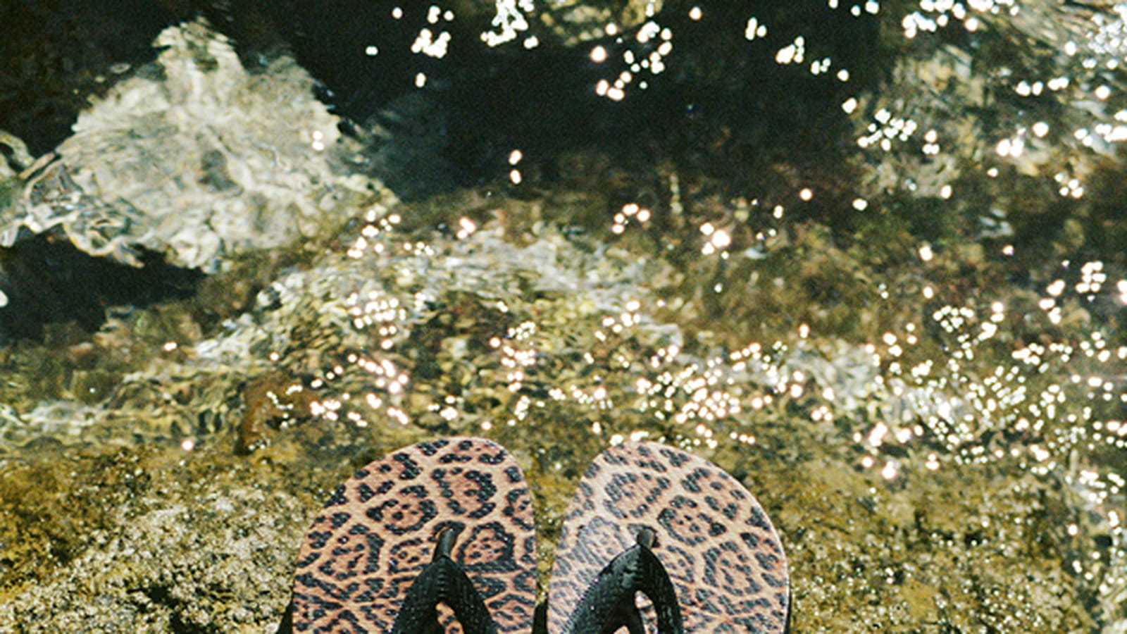 Saint Laurent X Havaianas