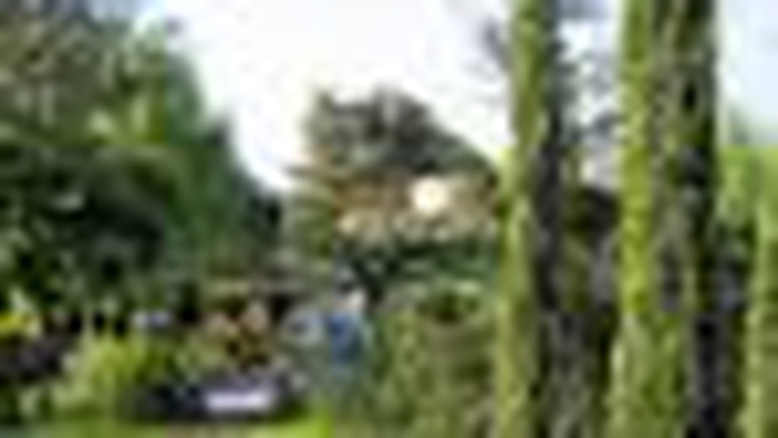 Le jardin de Michèle