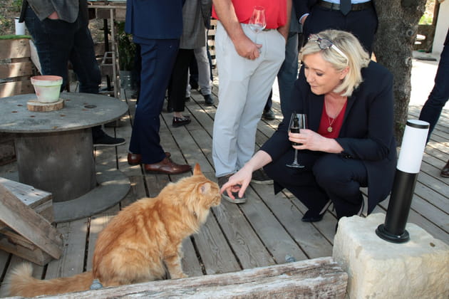 Marine Le Pen, amie des b&ecirc;tes&nbsp;?