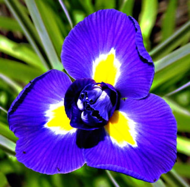 Couleurs &eacute;clatantes