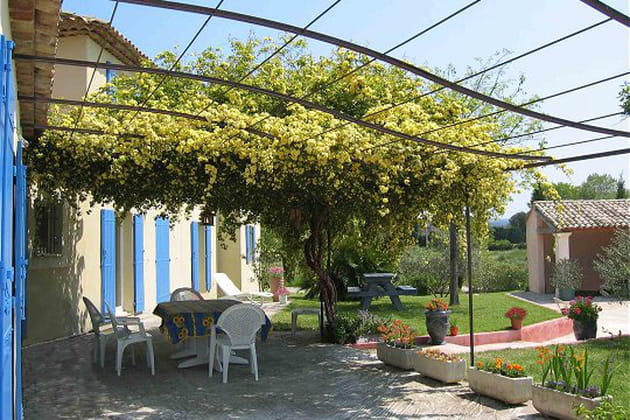 A l'ombre d'un rosier de Bank