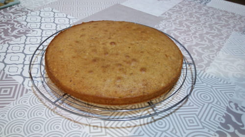 Gâteau sans gluten saveur châtaigne-noisette