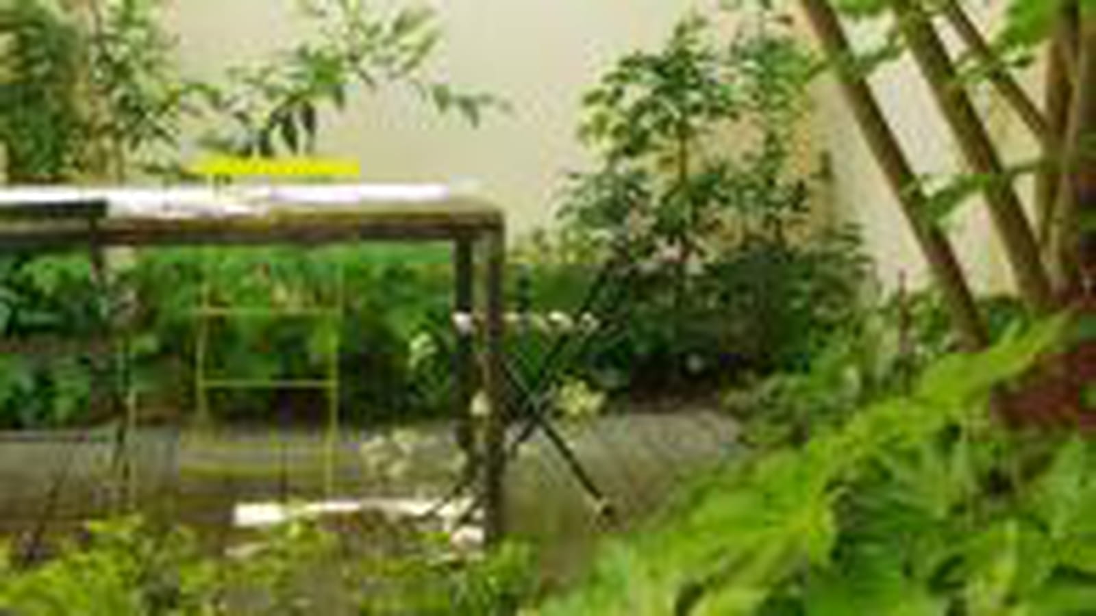 Terrasse entourée de verdure