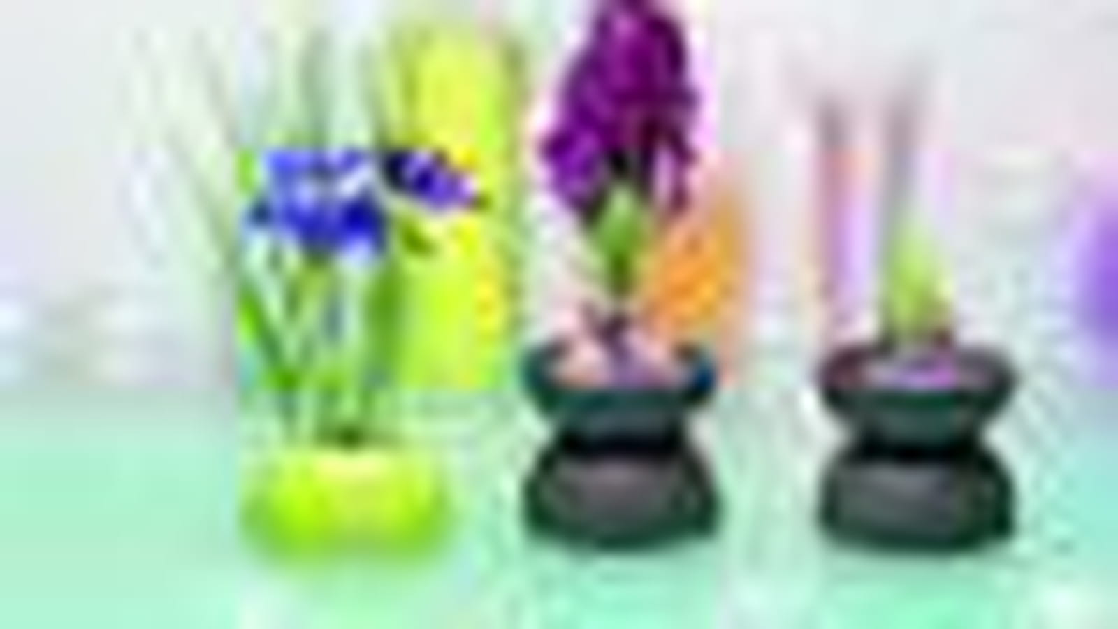 Iris ou jacinthes