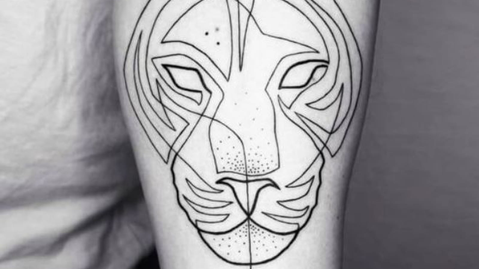 Contours de tigre sur le bras