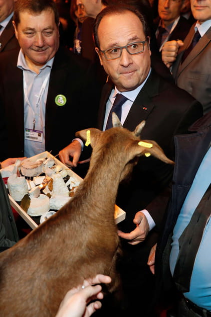 Au vu de l'accueil qu'il a reçu, le Président a de quoi devenir chèvre
