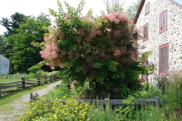 Cl&ocirc;tures en bois
