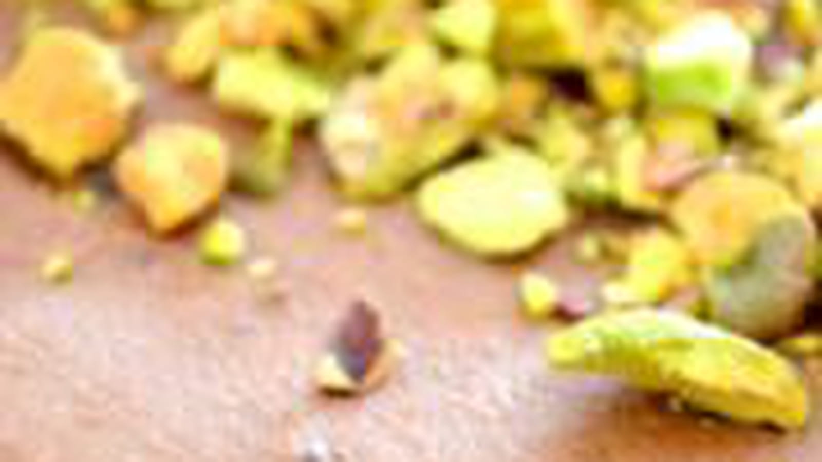 Bavarois chocolat pistache
