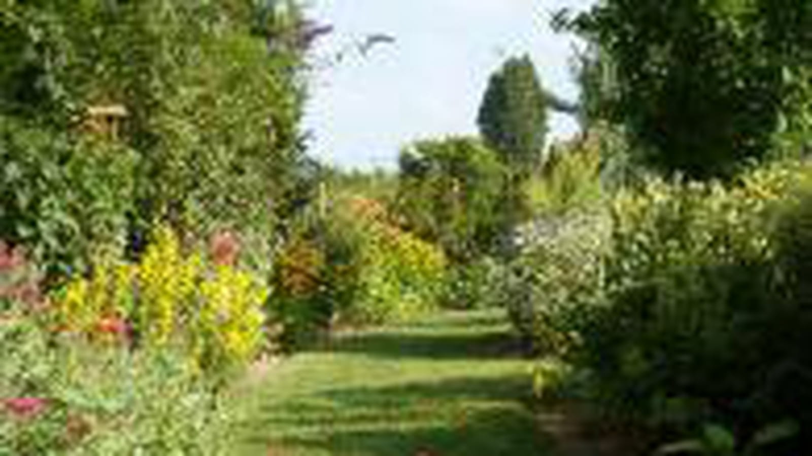 Le jardin parfumé de Pascal