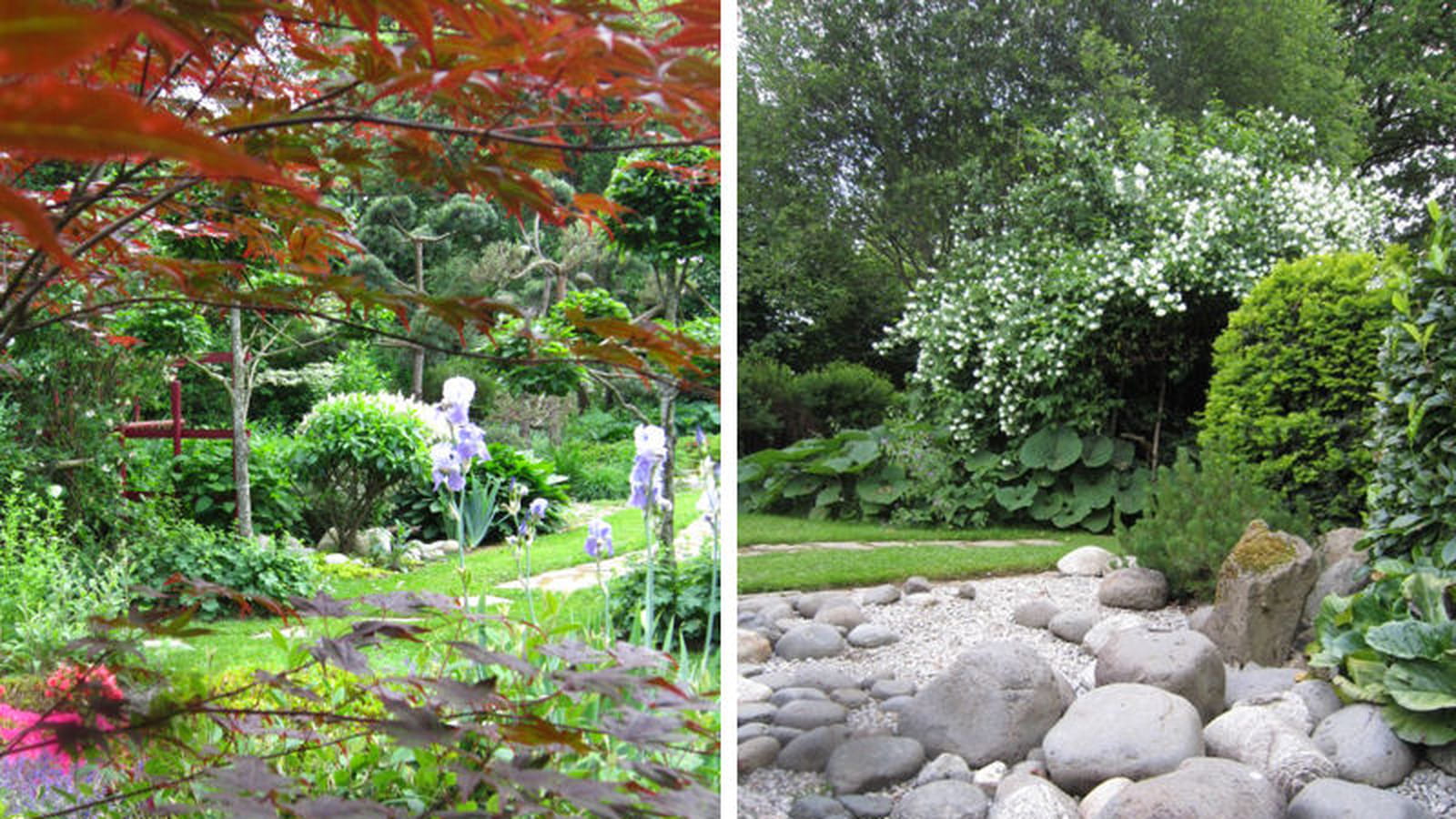 Jardin japonais