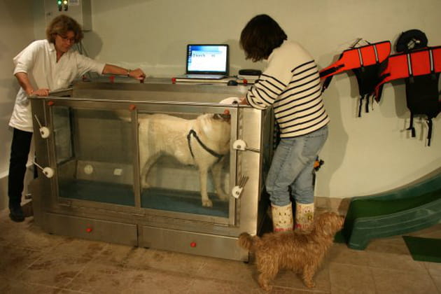 Prête pour travailler