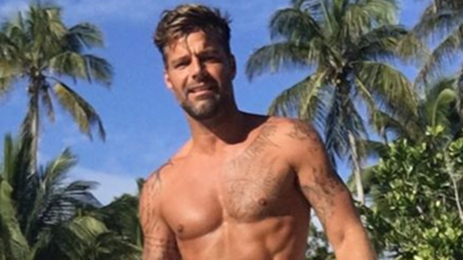 Ricky Martin 