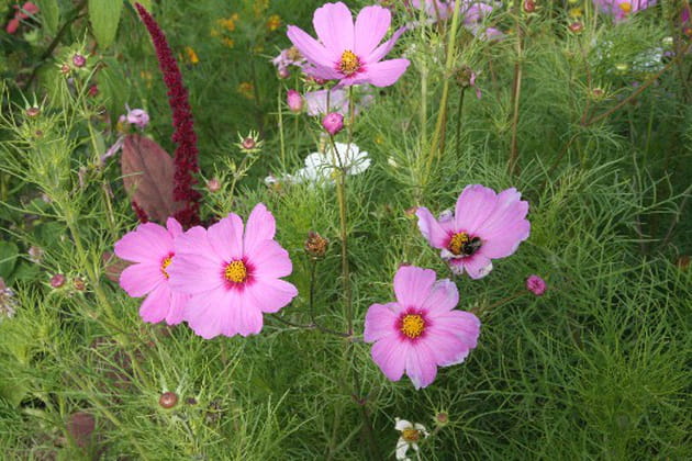 600 m² de pur bonheur