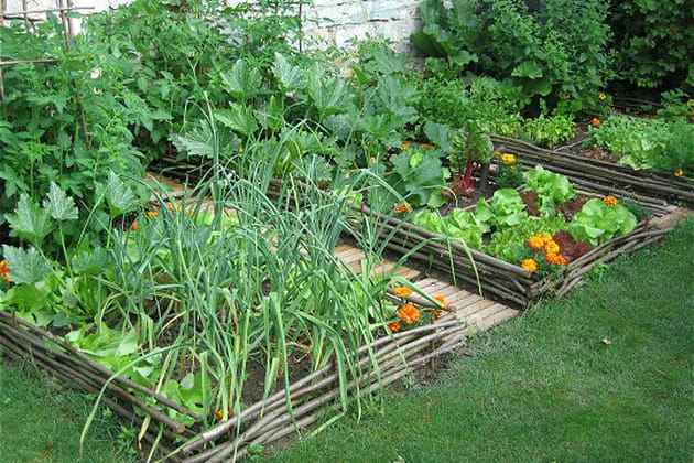 Pour le bonheur des gourmands