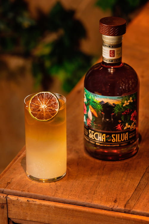 Le mayan mule