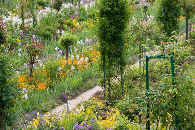 Plus de mille variétés de fleurs