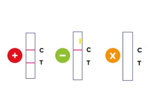 Lire les résultats du test Covid : deux barres =  positif