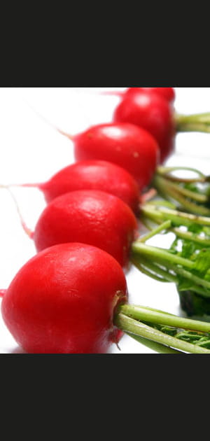 Aliments minceur&nbsp;:petit radis, grands effets