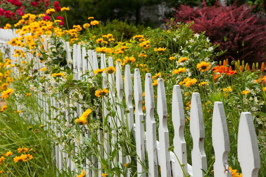 Tout savoir sur les palissades