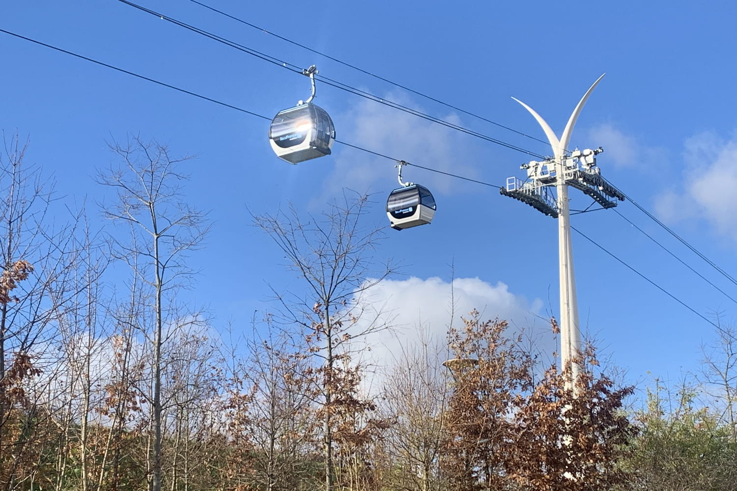 how much rents and sales prices will increase according to a real estate agent