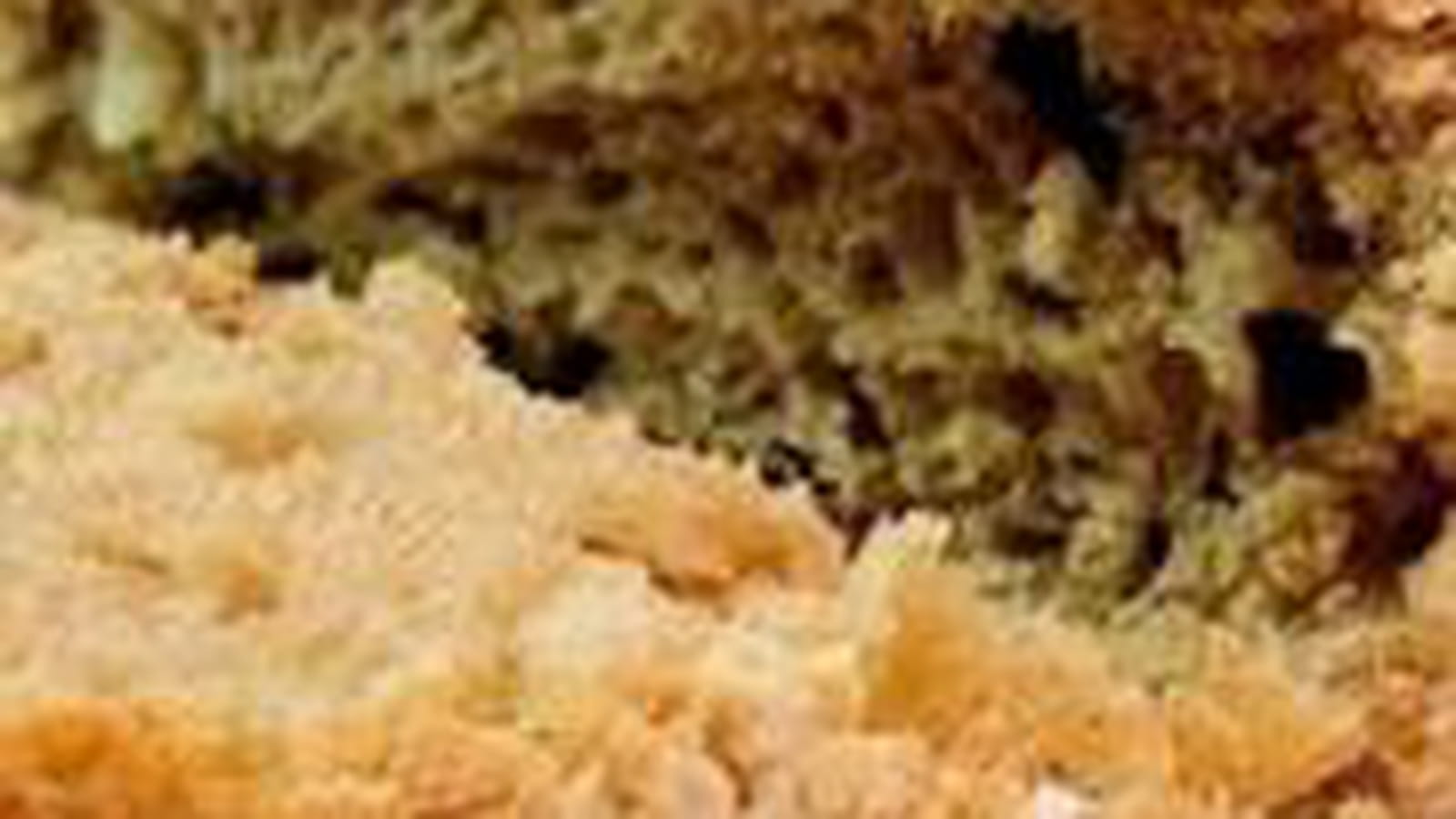 Pain aux pommes de terre