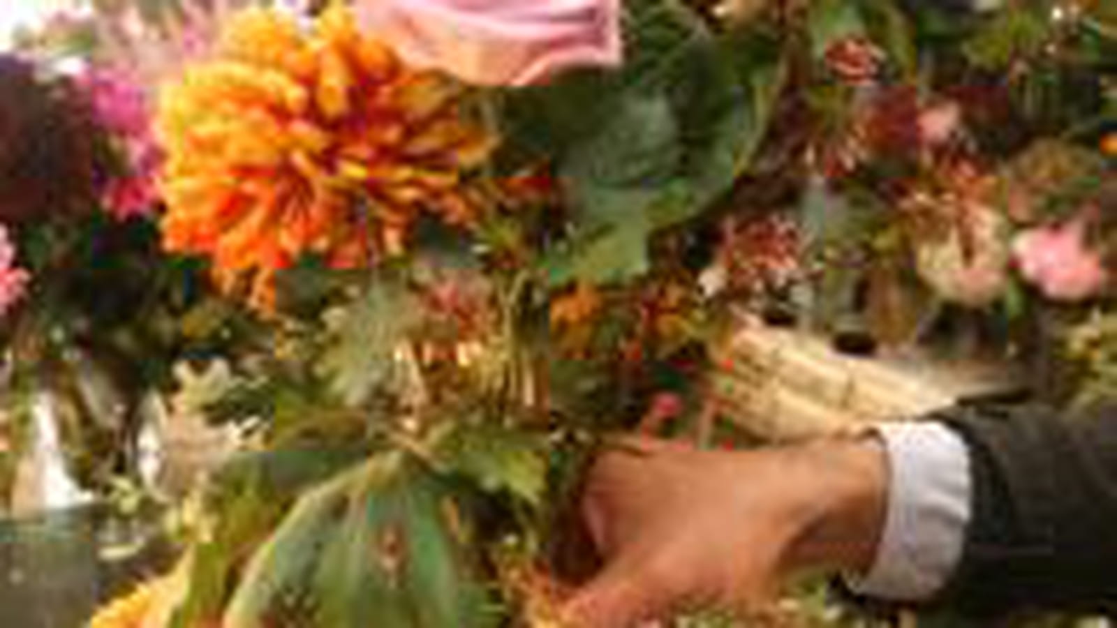 Alterner les fleurs